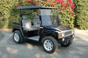 affordable golf cart rental, golf cart rent henderson